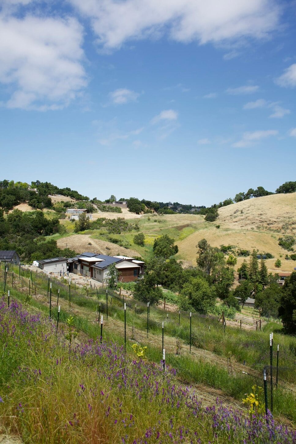 A scenic view of rolling hills with green grass, wildflowers, and scattered trees. A few houses with brown roofs sit in the middle ground, and a wire fence runs along the foreground under a partly cloudy sky.