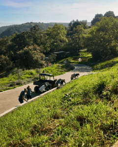 A Group Of People Push A Utility Vehicle Up A Paved Path Surrounded By Green Grass And Trees On A Sunny Day, With Rolling Hills Visible In The Background.
