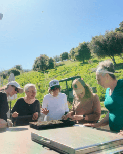 Five Women Gathered Around A Table Outdoors On A Sunny Day, Planting Seeds In Soil Trays. Green Hills, Trees, And A Tractor Are Visible In The Background. The Women Are Smiling And Interacting With Each Other.